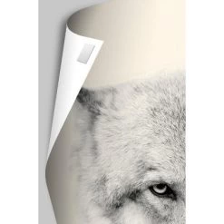 Trends International Disney Pixar Turning Red - Teaser One Sheet Unframed Wall Poster Prints 7 Trends International Disney Pixar Turning Red - Teaser One Sheet Unframed Wall Poster Prints -Children Peripherals GUEST 56d31d4e 82a0 4384 abb9 92c9c4c39526