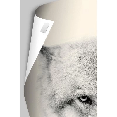 Trends International Disney Pixar Turning Red - Teaser One Sheet Unframed Wall Poster Prints 3 Trends International Disney Pixar Turning Red - Teaser One Sheet Unframed Wall Poster Prints - Image 3