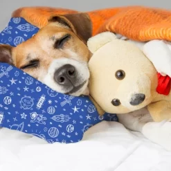 KeaBabies Toddler Pillow With Pillowcase, 13X18 Soft Organic Cotton Toddler Pillows For Sleeping, Kids Travel Pillow Age 2-5 -Children Peripherals GUEST 63ec1dd8 b8f4 4d96 a112 6ca0c496def0